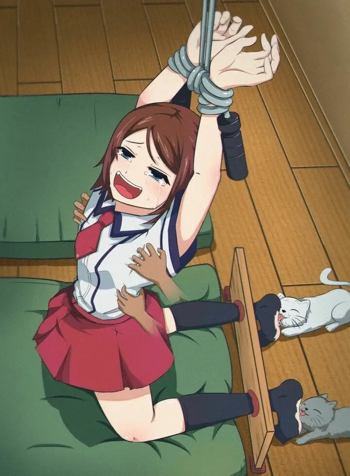 西檬之家探索DS关系的奥秘:你该了解的基础知识与注意事项 一