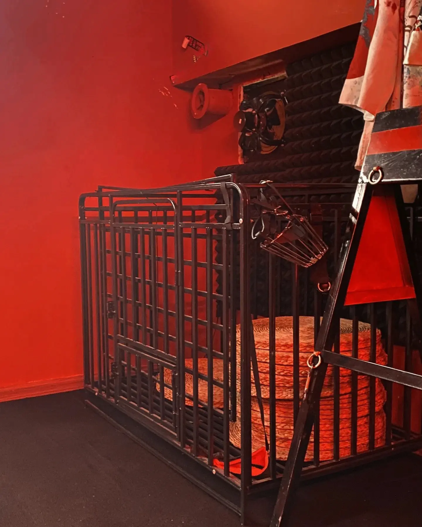 西檬之家k9犬系是什么?你的字母圈角色类型有哪些? 一