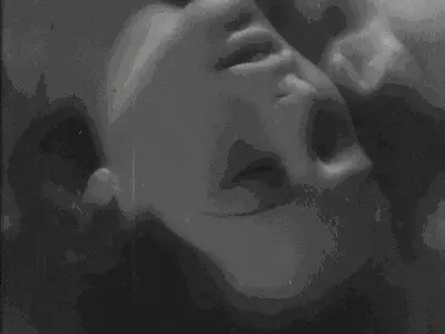 西檬之家2025年字母圈的兴起与变革 一