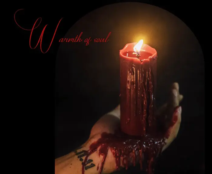 西檬之家s属性到底是什么?字母圈新人必看指南 一