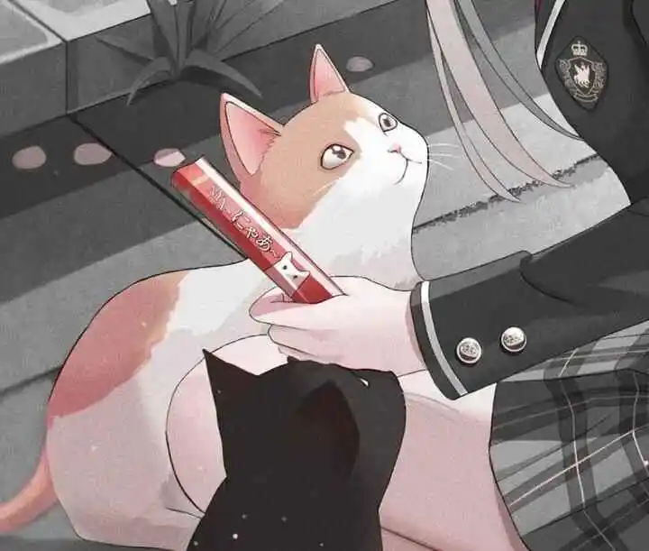 西檬之家BDSM入圈指南:如何安全而有趣地探索字母圈? 一