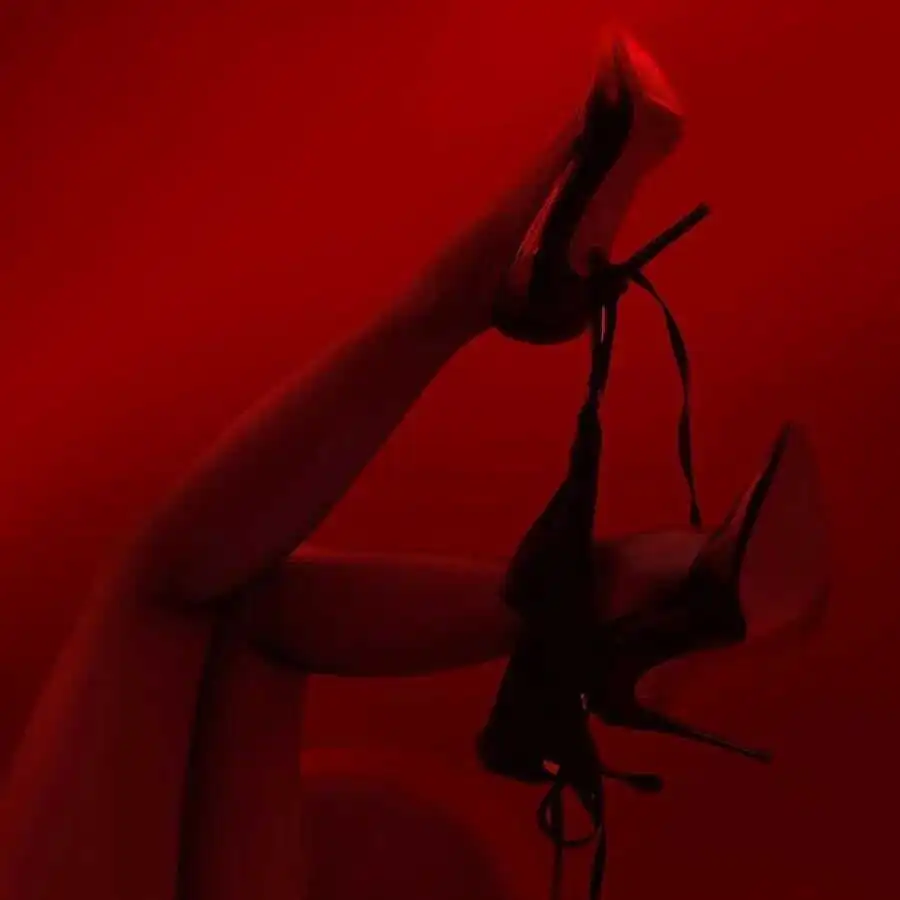 西檬之家k9是什么?字母圈中的新热潮解析 一