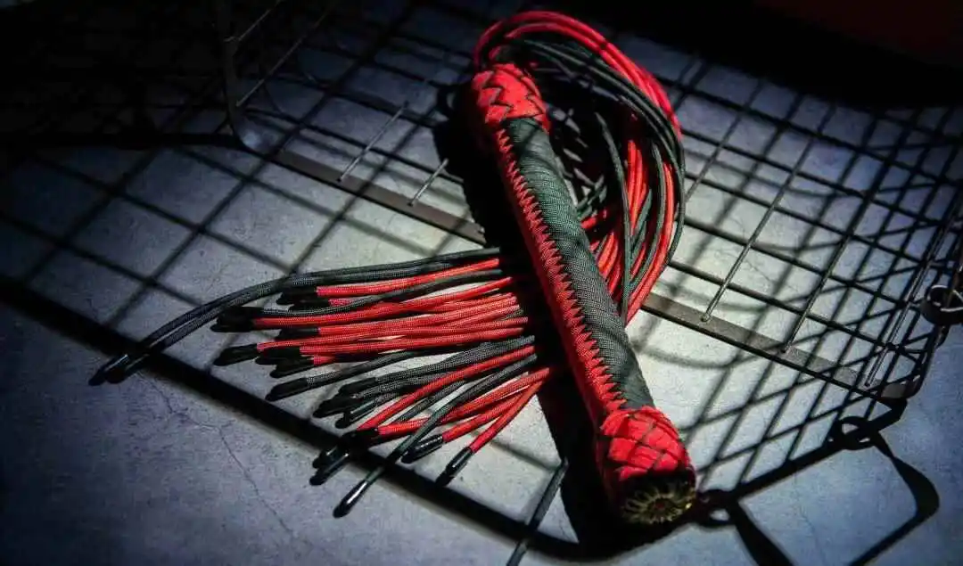 西檬之家brat属性在字母圈中的角色与魅力解析 一