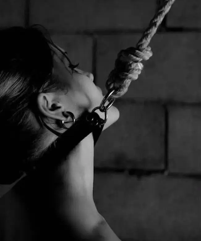 西檬之家s倾向是什么?了解你的字母圈内心世界 一