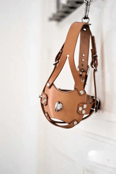 西檬之家sub是什么?了解你的字母圈身份与角色设定 一