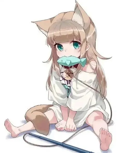 西檬之家k9是什么?字母圈中的秘密与探讨 一