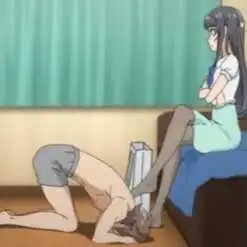 西檬之家圣水的多重含义与实践指南 一