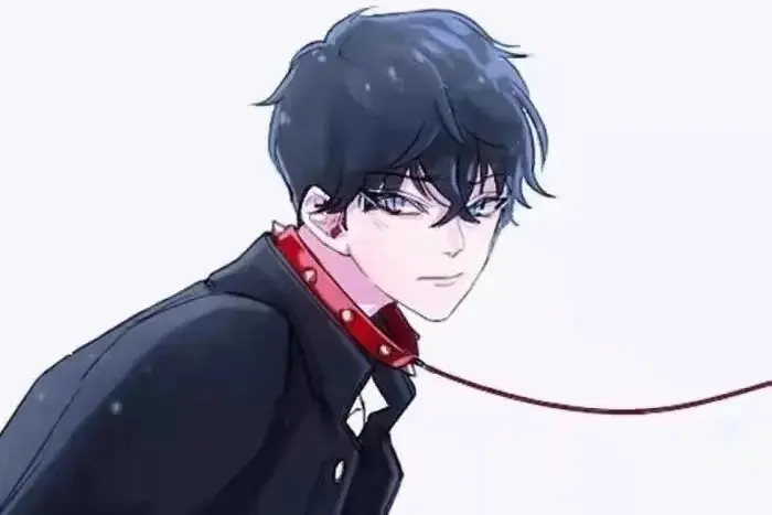 西檬之家BDSM入圈新手必看指南有哪些? 一