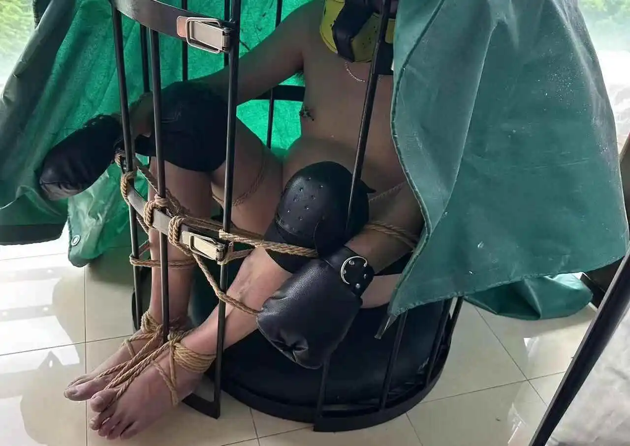 西檬之家m倾向是什么?探寻你的字母圈内心秘密 一