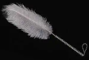 西檬之家揭示m倾向的真实含义与探索之旅 一