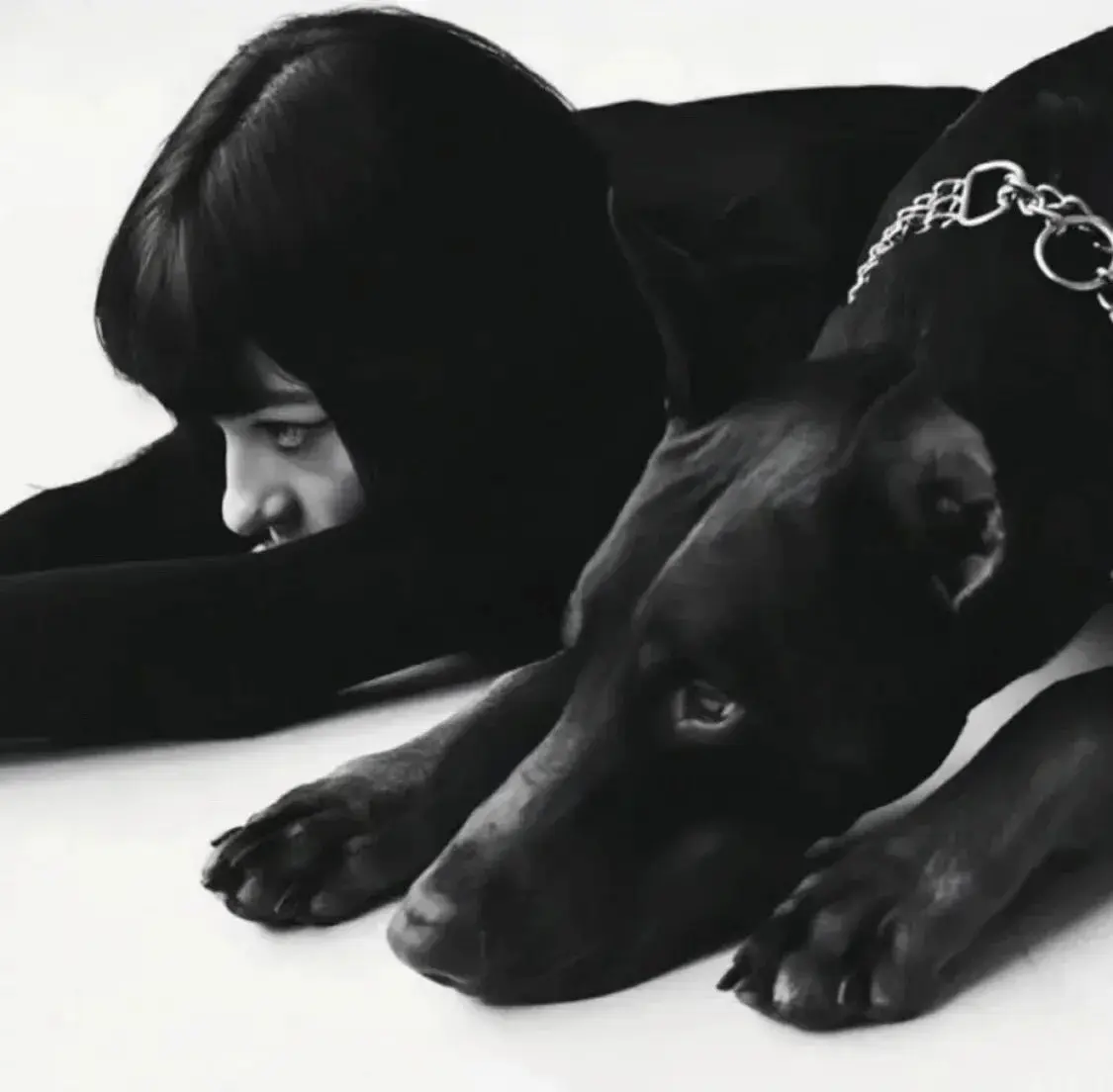 西檬之家字母圈的大圈如何影响你的BDSM之旅? 一