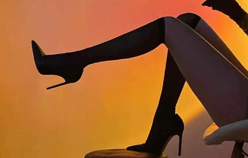 西檬之家k8猫系的魅力与探索:你了解它的独特之处吗? 一