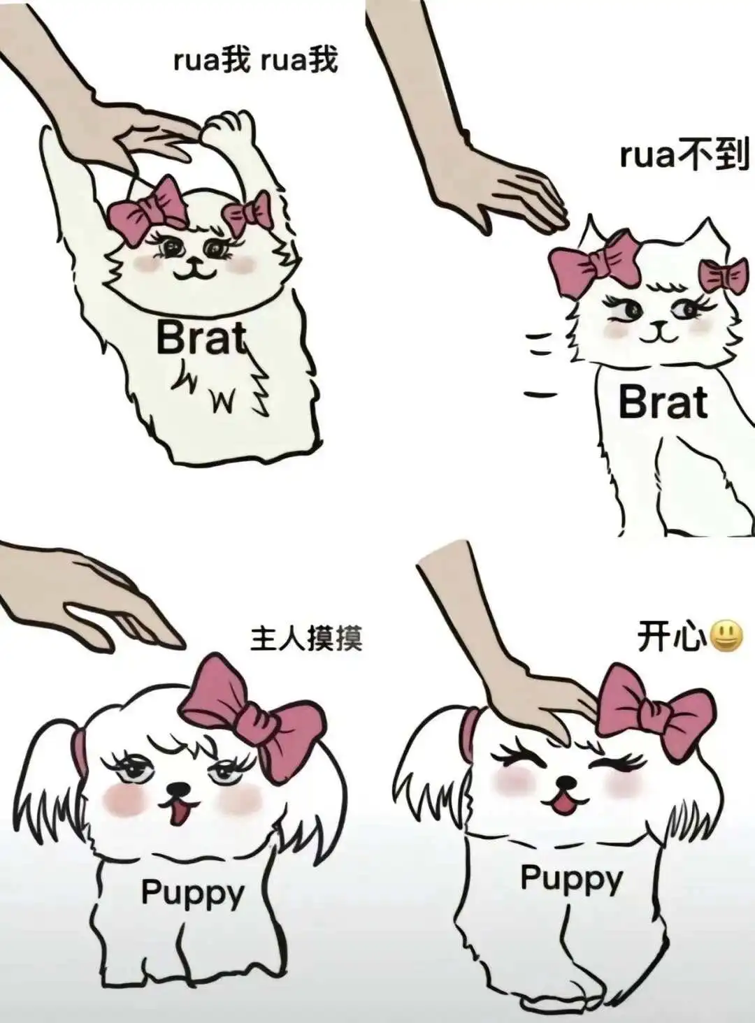 西檬之家k9是什么?字母圈新人指南 一