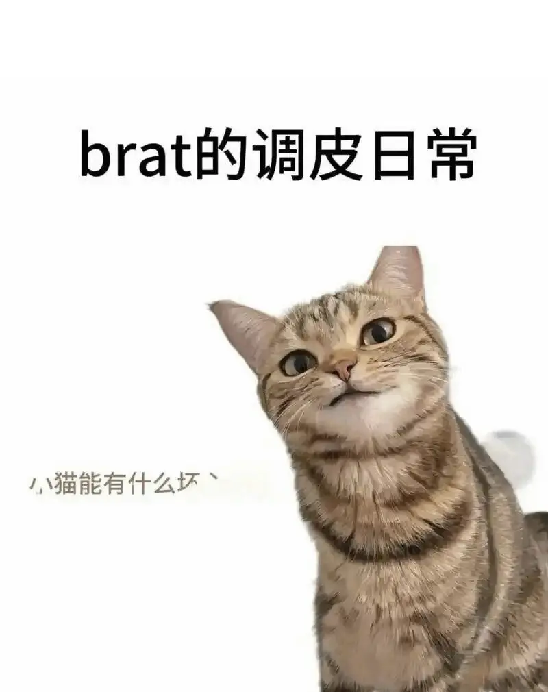 西檬之家spank是什么?字母圈打屁股入门指南 一