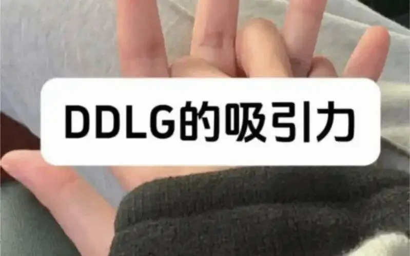 西檬之家k8是什么?你的字母圈属性是什么 一