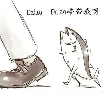 西檬之家k8猫系是什么意思? 一