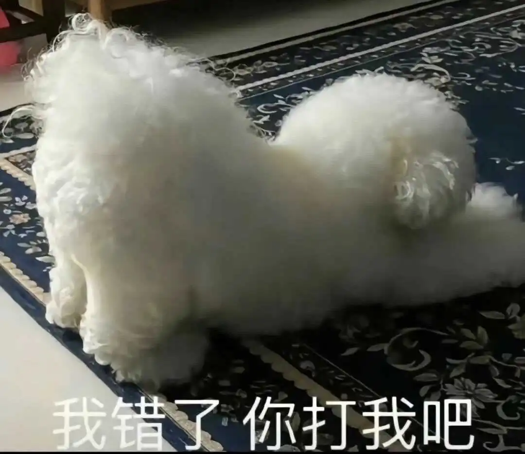 西檬之家TS新手入门指南 一