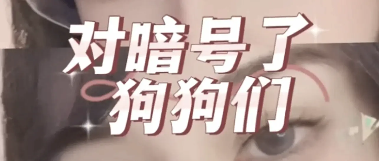 西檬之家M倾向解析:字母圈新人如何科学认知? 一