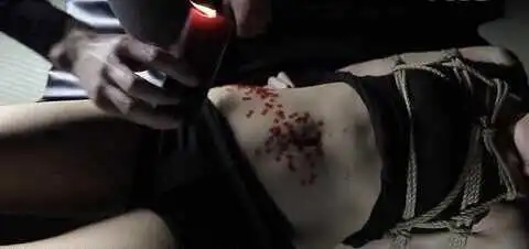 西檬之家字母圈的管教是什么意思? 一