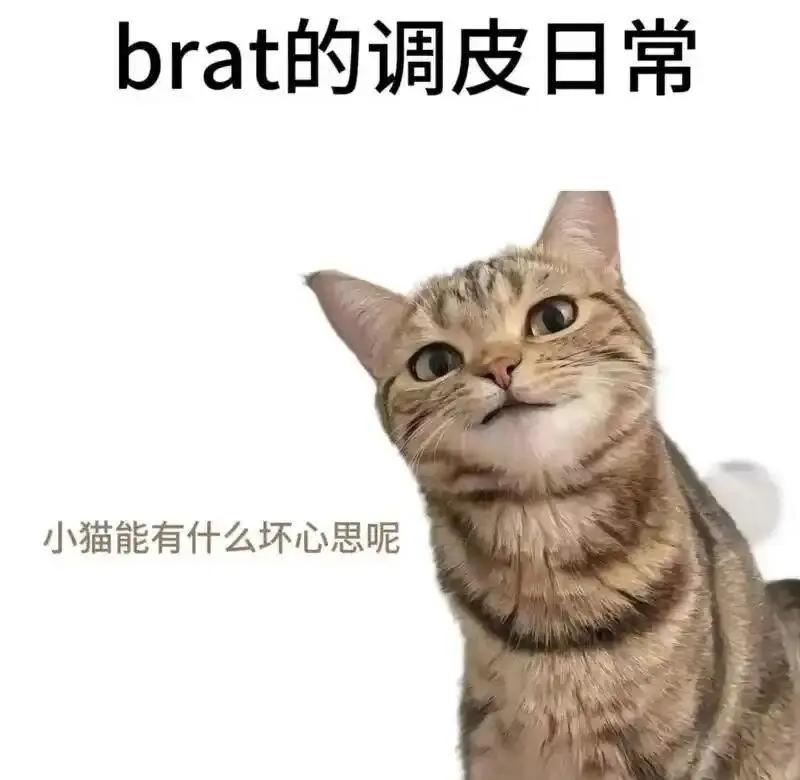 西檬之家s倾向是什么意思?你是字母圈里的S吗? 一