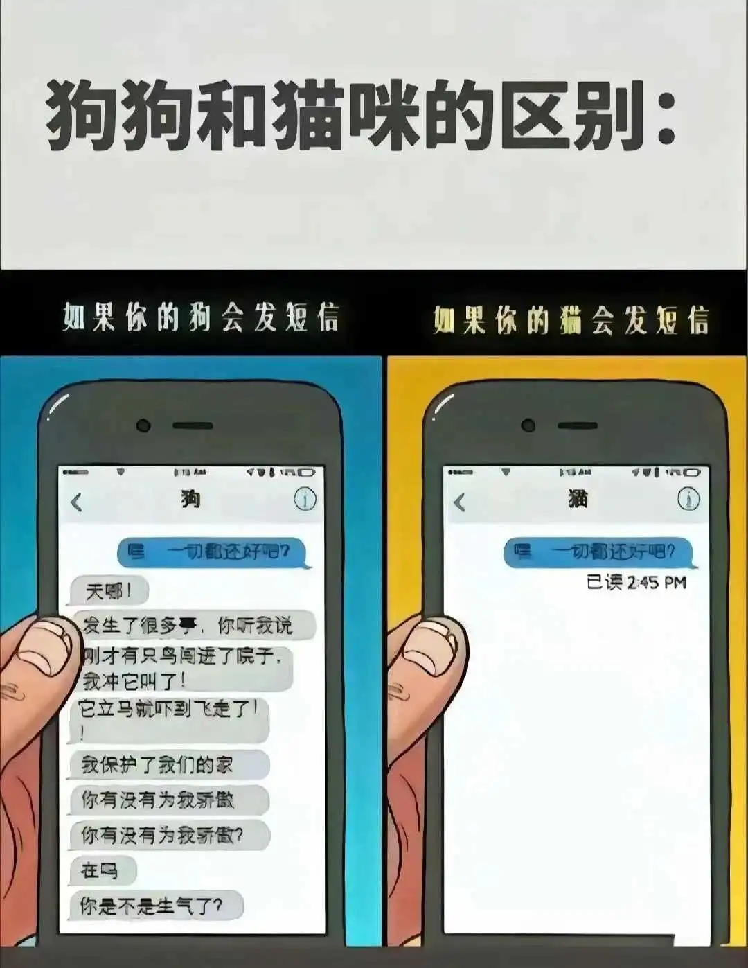 西檬之家sp小圈是什么? 一
