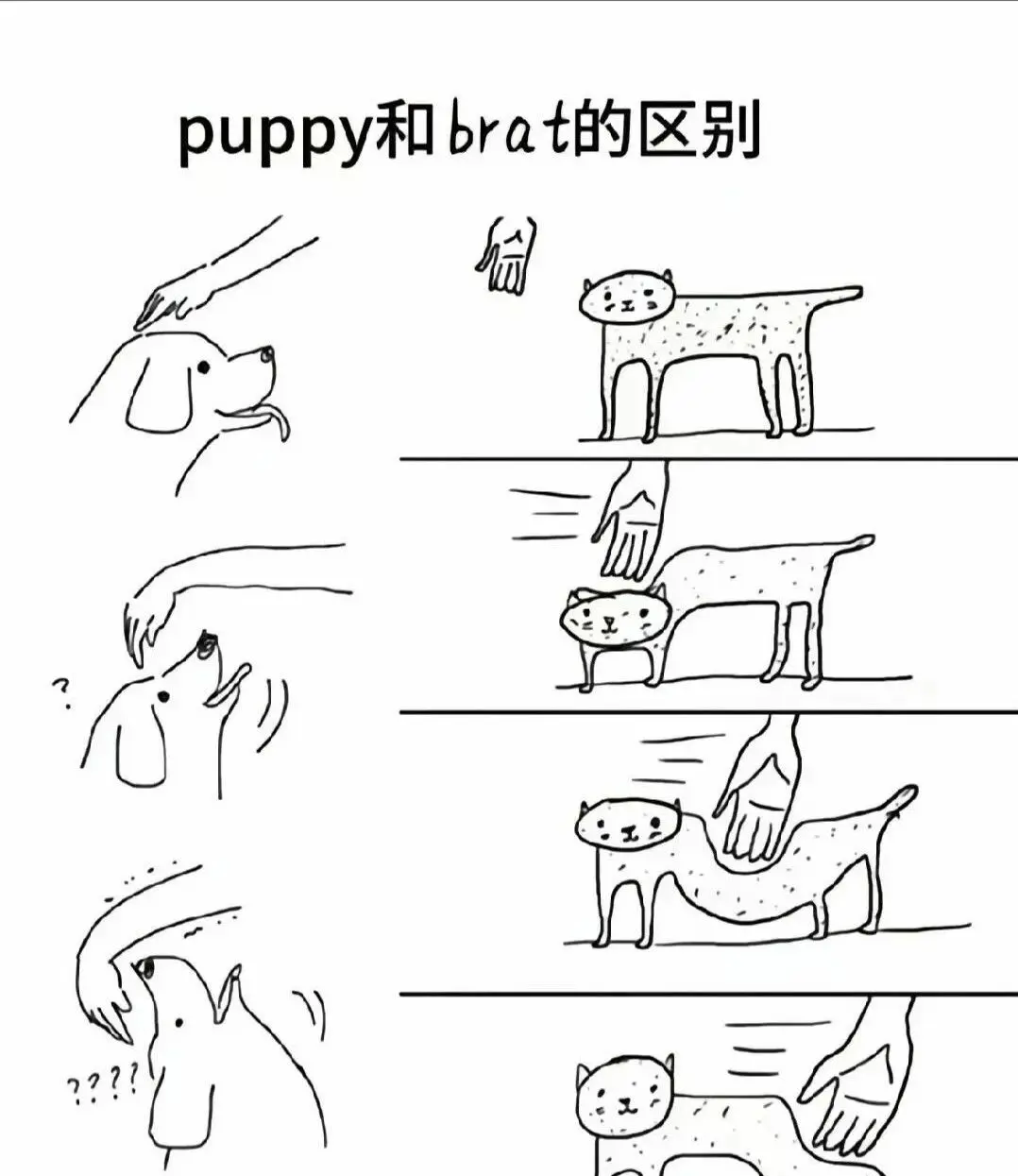 西檬之家安全词是什么?BDSM新人如何设置? 一