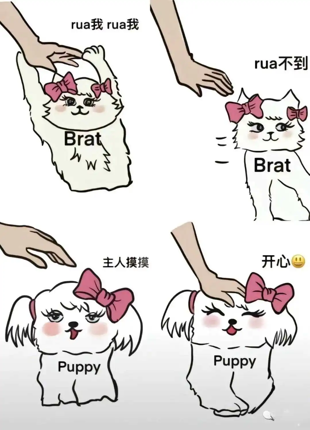 西檬之家brat属性是什么? 一